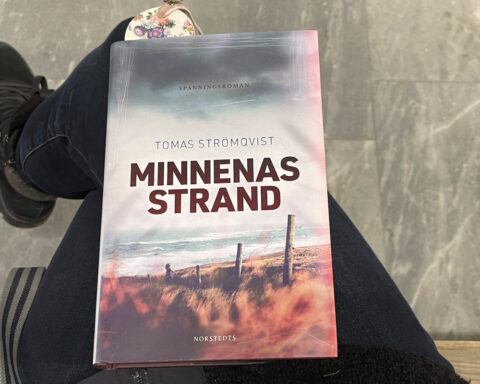Recension av svenska thrillern "Minnenas strand", skriven av Tomas Strömqvist