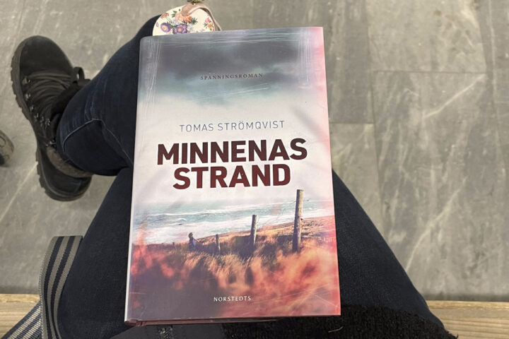 Recension av svenska thrillern "Minnenas strand", skriven av Tomas Strömqvist